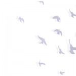 空の鳥の壁紙