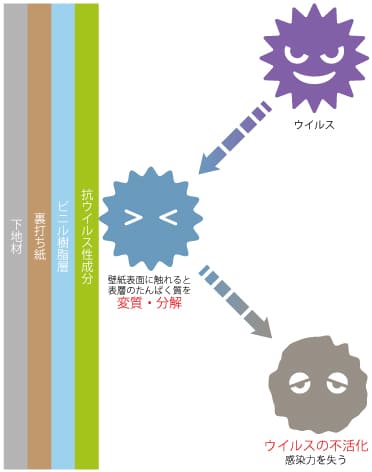 抗菌・抗ウイルス壁紙のしくみ