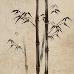 KJ-0013  静かな竹道