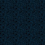 KN-0024  soiree ~ソワレ~