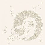 KPO-0037  Jelly Fish