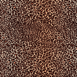 KA-0019  Leopard