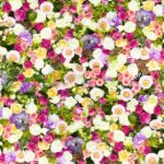 綺麗な花の壁紙クロス