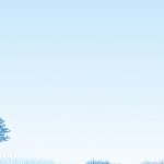 爽やかな森を感じさせる壁紙