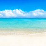 南国の海の壁紙