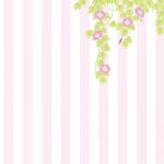 朝顔のイラストの壁紙