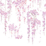 舞い散る桜をイメージしたデザイン壁紙