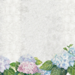 KN-0138 朗らかな紫陽花