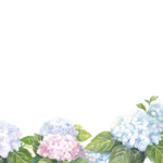 KN-0138 朗らかな紫陽花